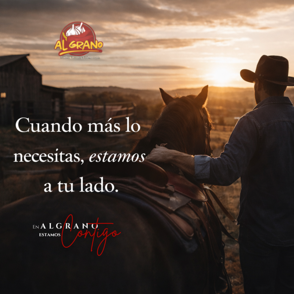 o día uno es tu decisión (en al grano,estamos contigo) (14)